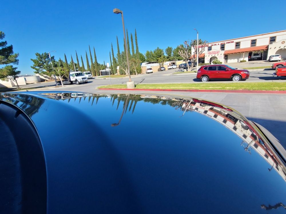Sky and palm trees mirrored in a freshly polished black roof