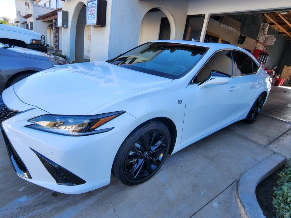 White Lexus F Sport sedan outside the shop