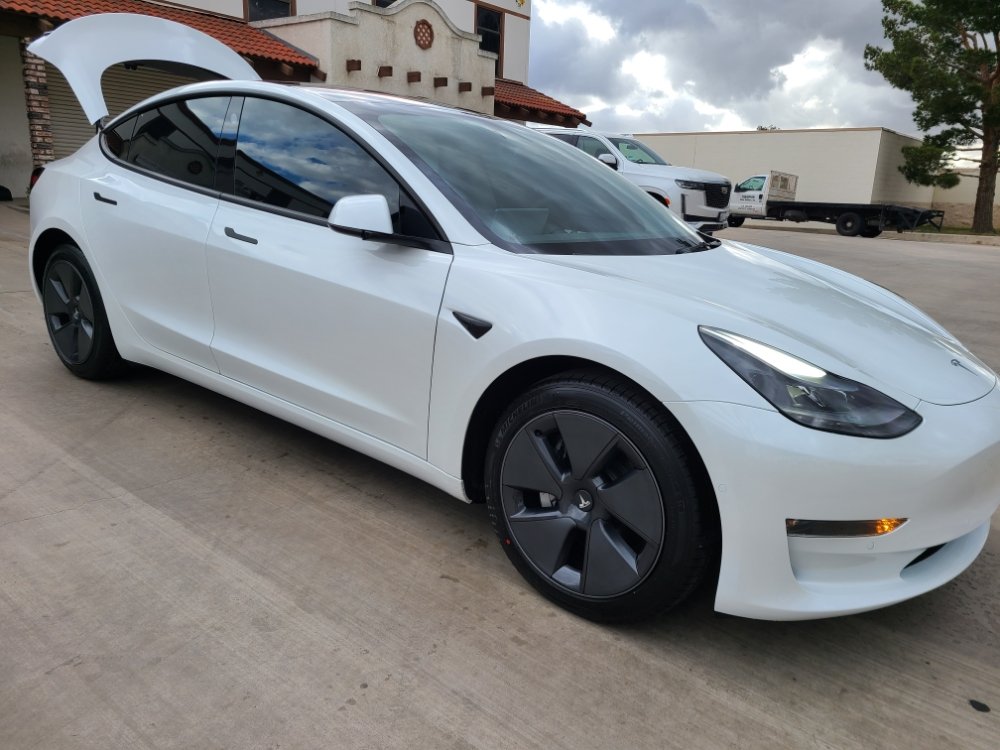 White Tesla Model 3 outside the shop
